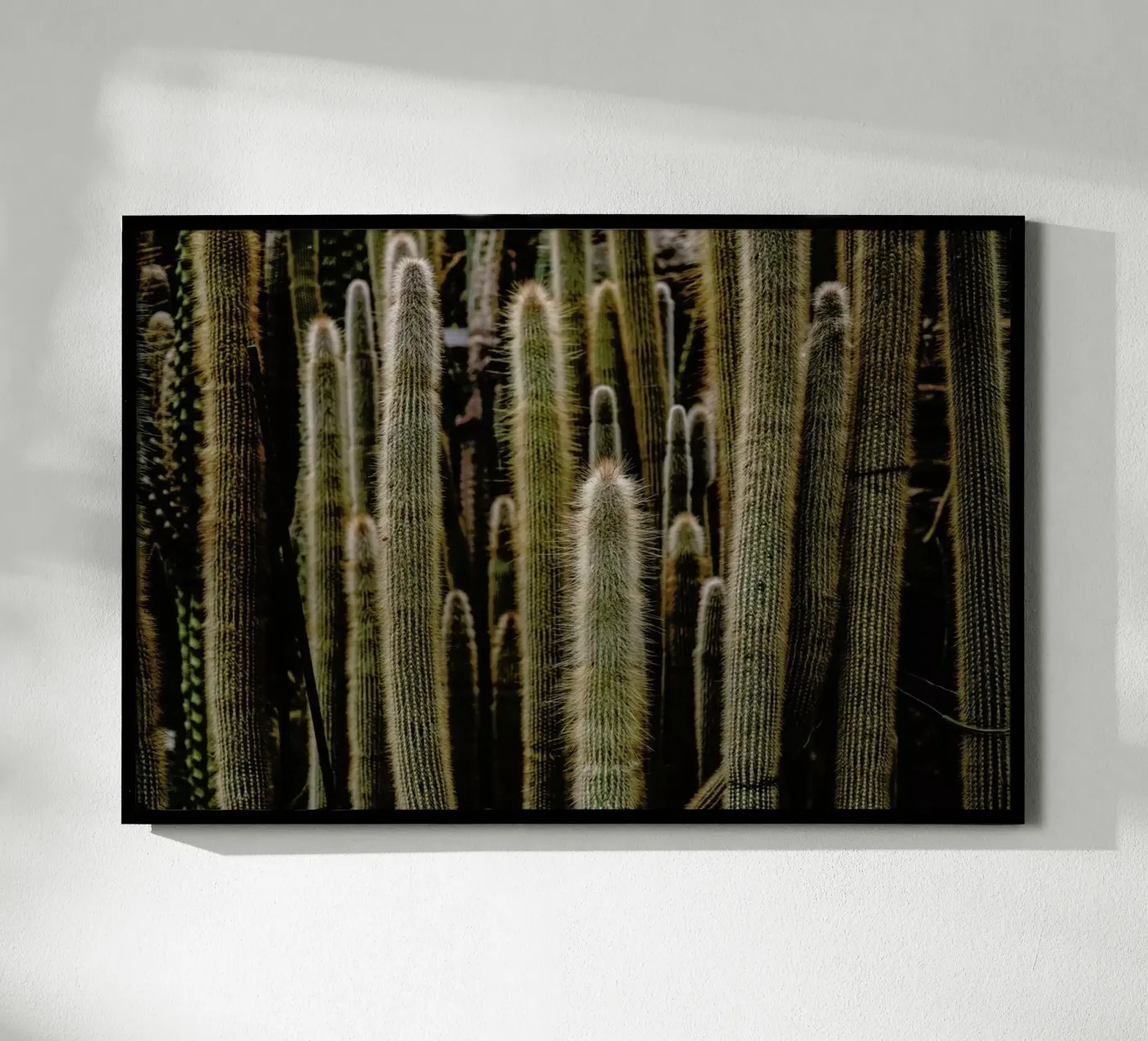 Sierras poster by Flora & Fauna