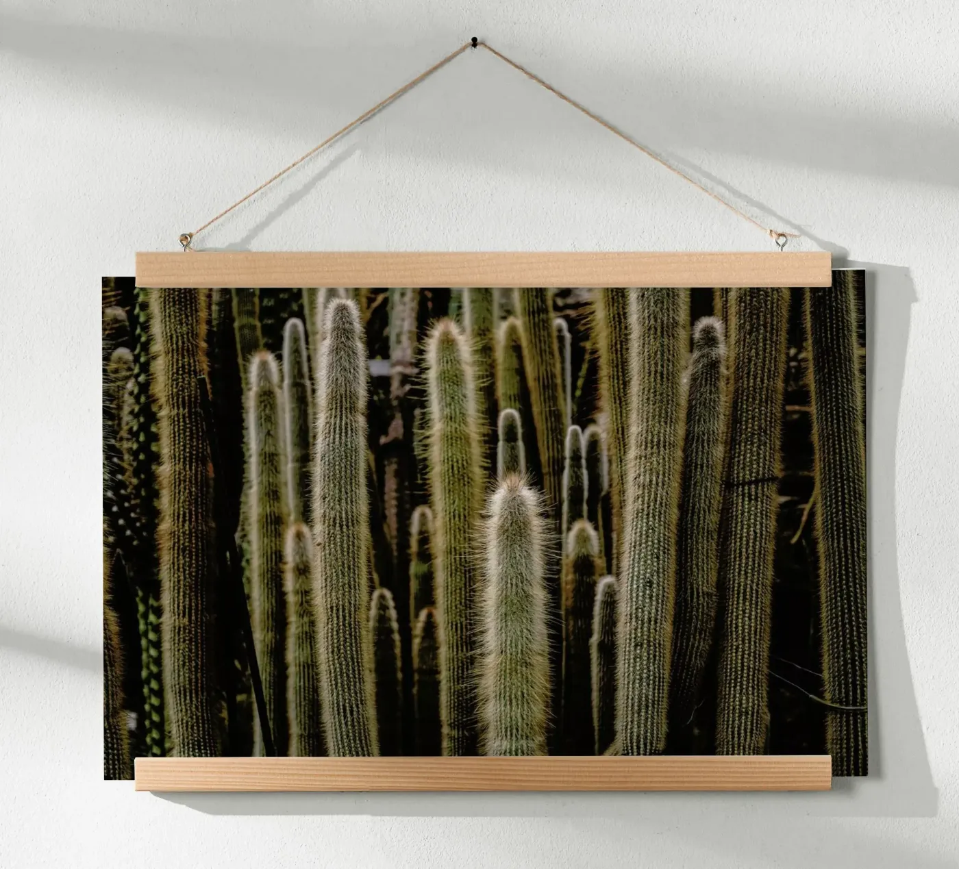 Sierras poster by Flora & Fauna