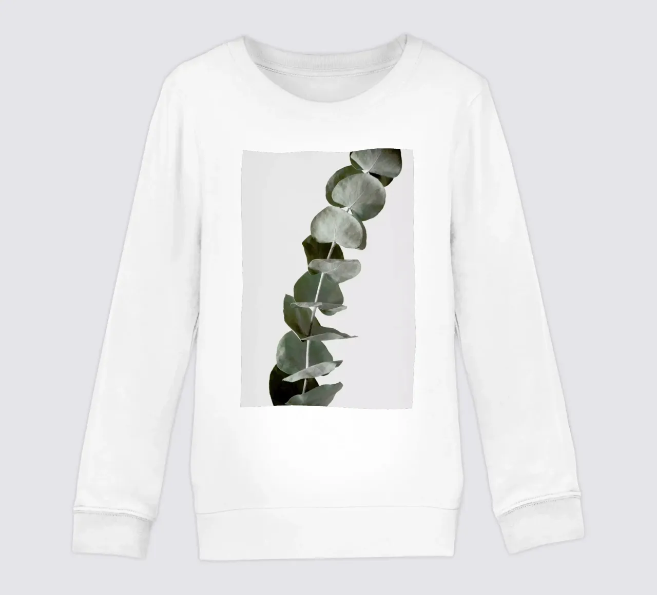 Mint Green Dried Eucalyptus Branches felpa bambino da Studio Nahili