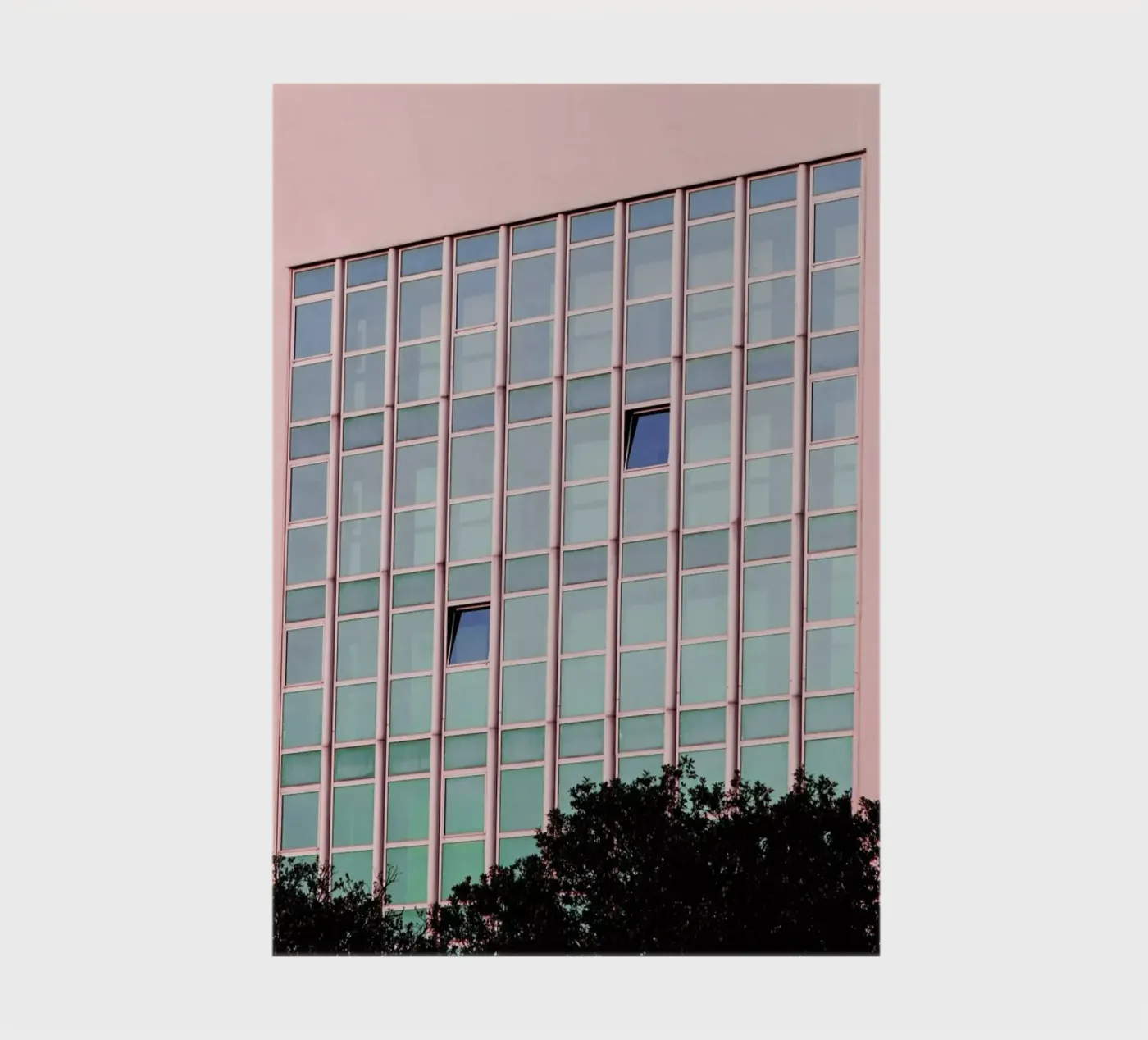 Memory notebook by Rupert Höller