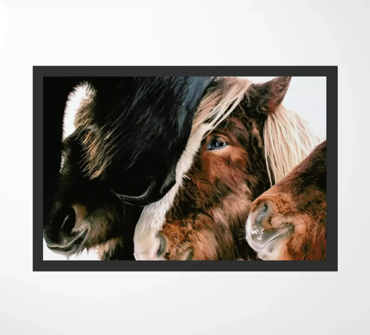 Touch To Touch zerbino da Natural Kingdom