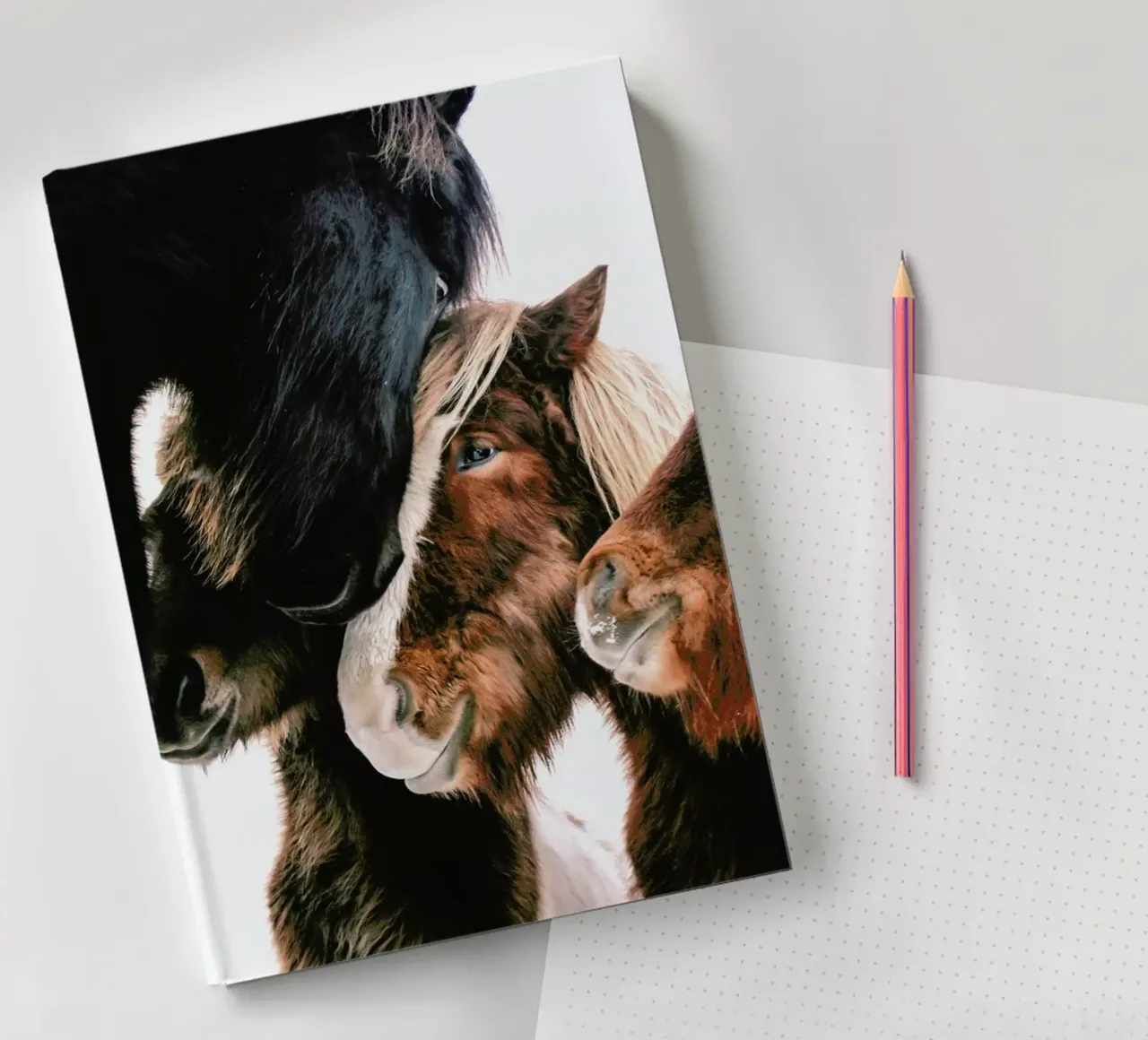 Touch To Touch notebook by Natural Kingdom