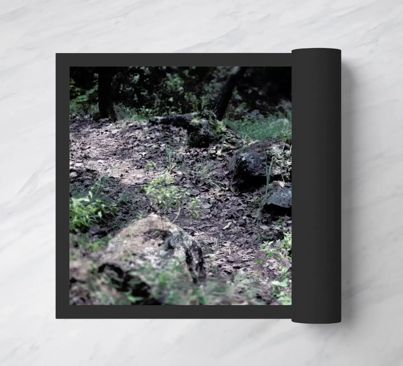 Dreamlike 02 zerbino da Ana Topoleanu