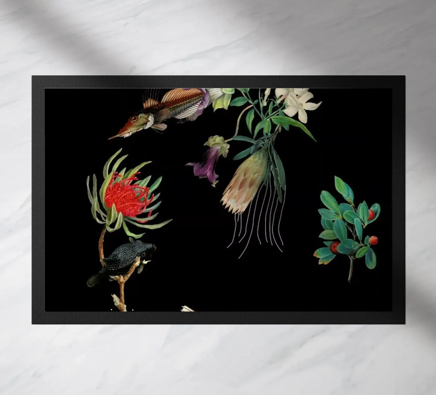 Flowerfish zerbino da The Gently Unfurling Sneak