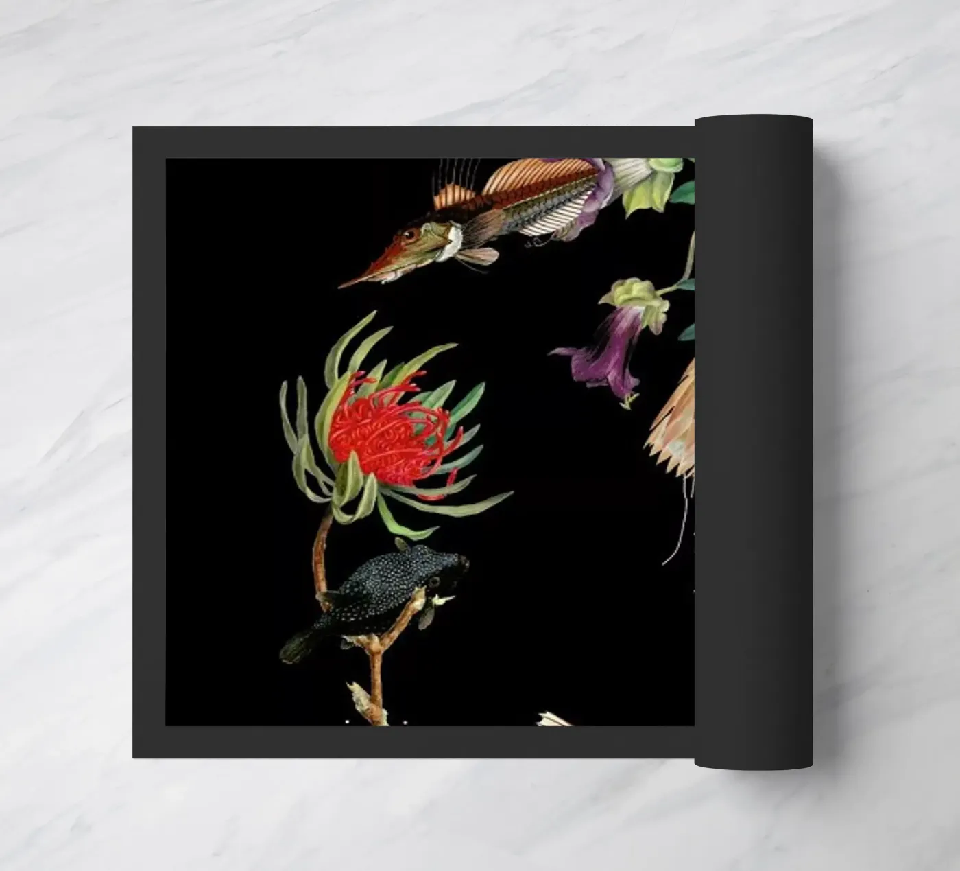 Flowerfish zerbino da The Gently Unfurling Sneak