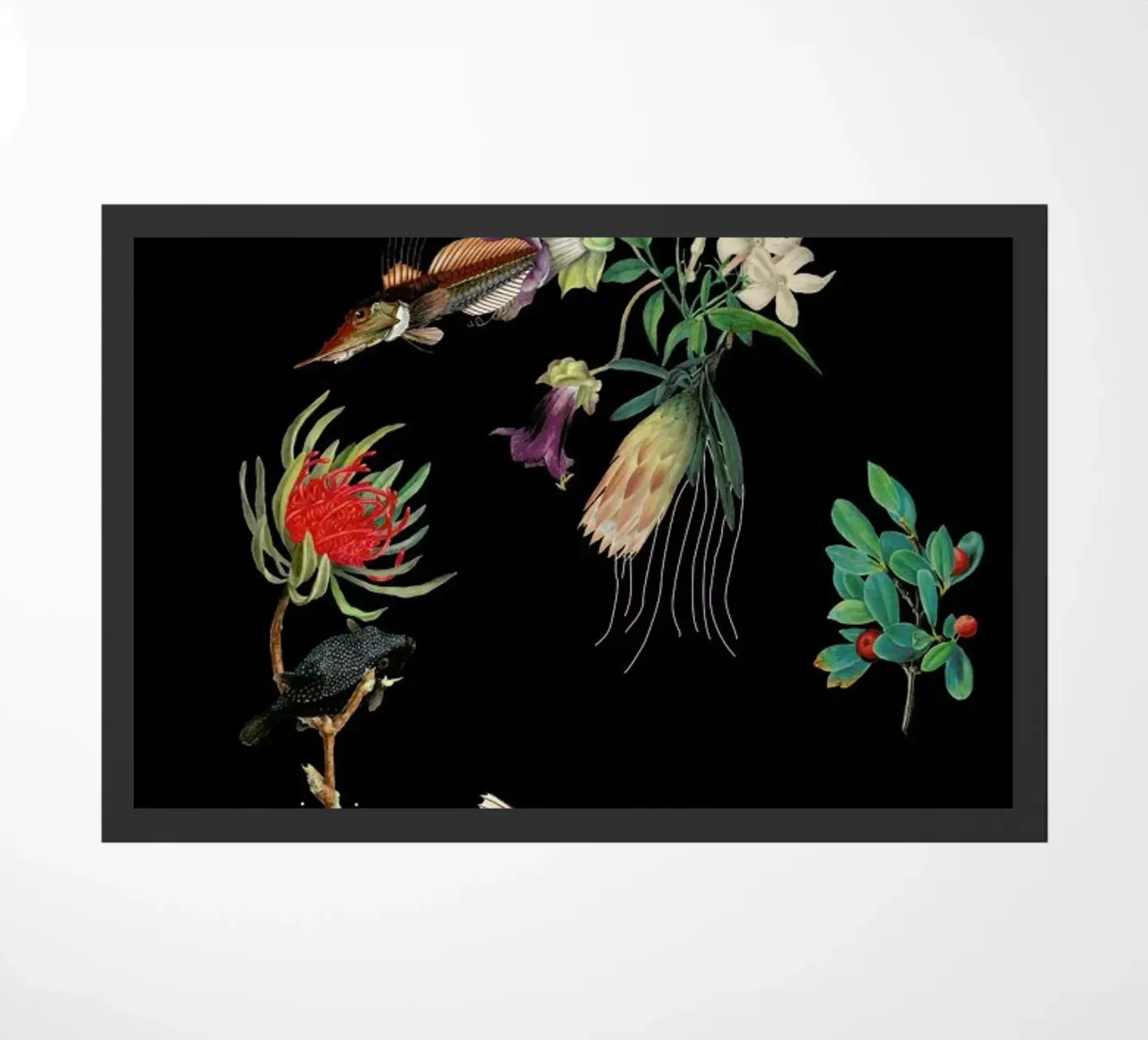 Flowerfish zerbino da The Gently Unfurling Sneak