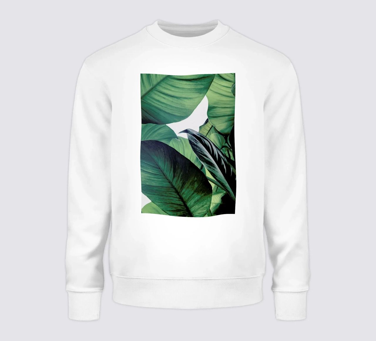 Light Shines Through sweatshirt by Flora & Fauna