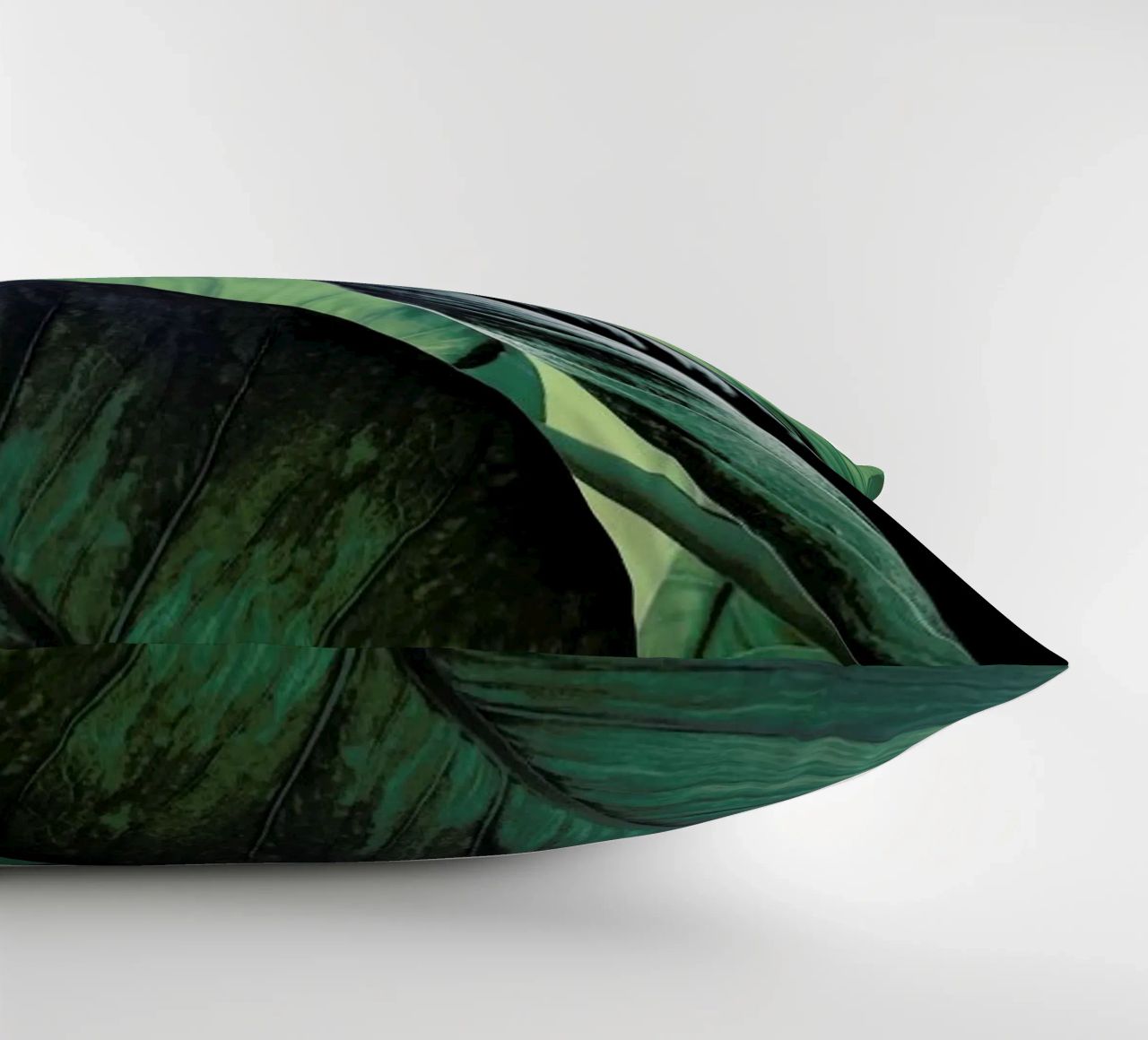 Light Shines Through decorative cushion by Flora & Fauna