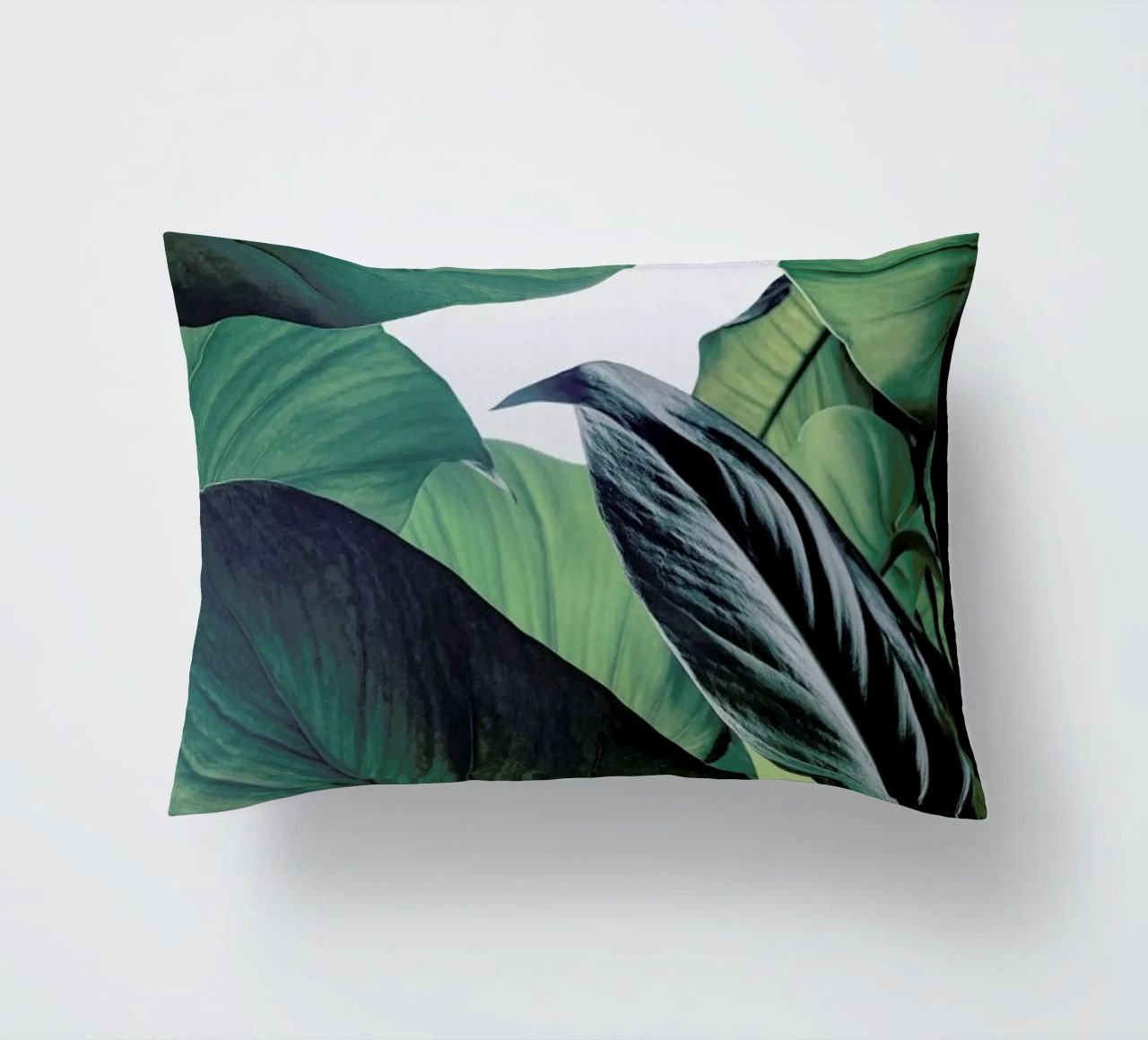Light Shines Through decorative cushion by Flora & Fauna