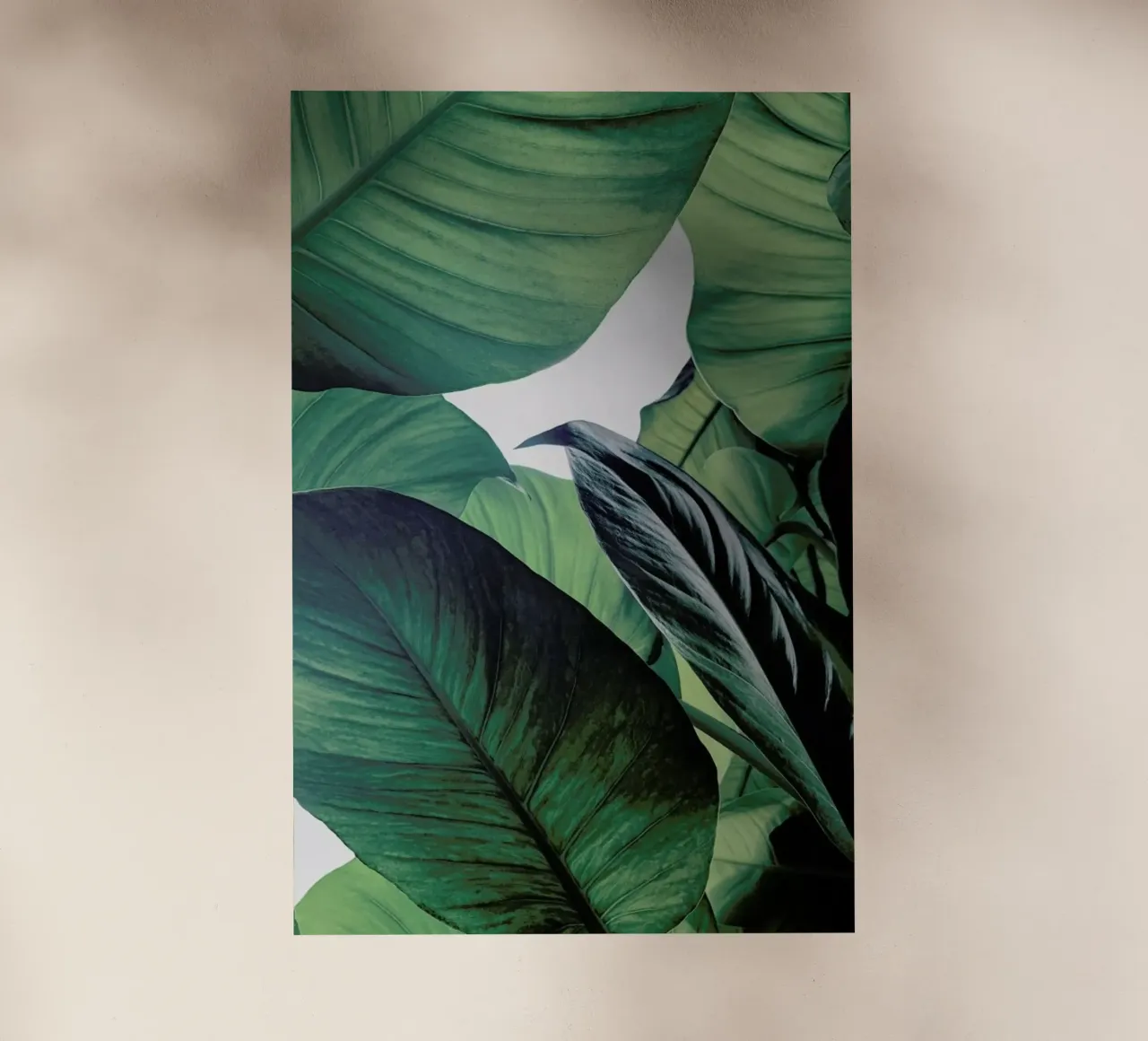 Light Shines Through pellicola backlit da Flora & Fauna