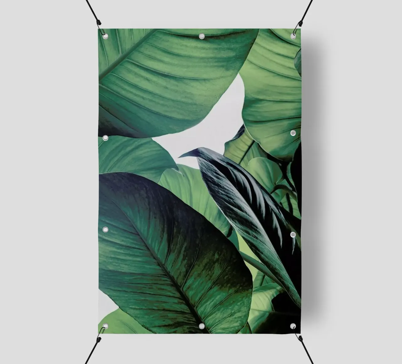 Light Shines Through telo in pvc da Flora & Fauna