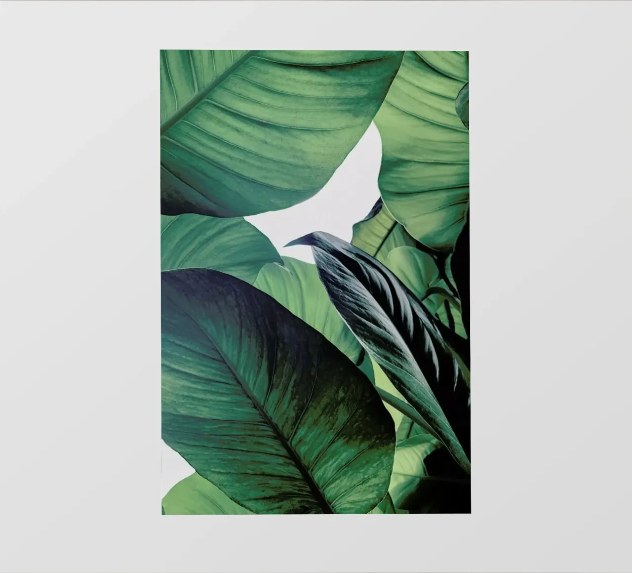 Light Shines Through telo in pvc da Flora & Fauna