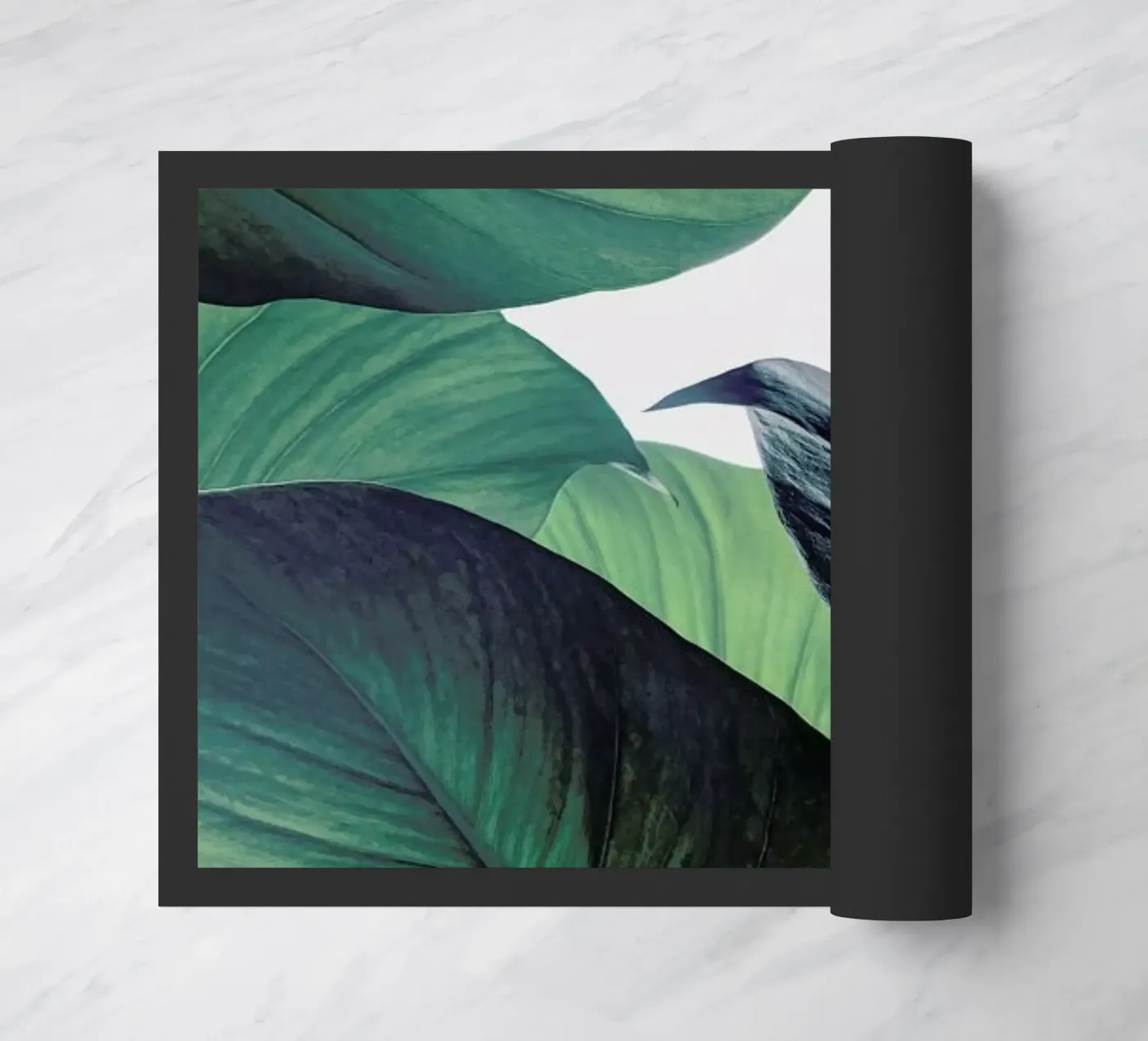 Light Shines Through zerbino da Flora & Fauna