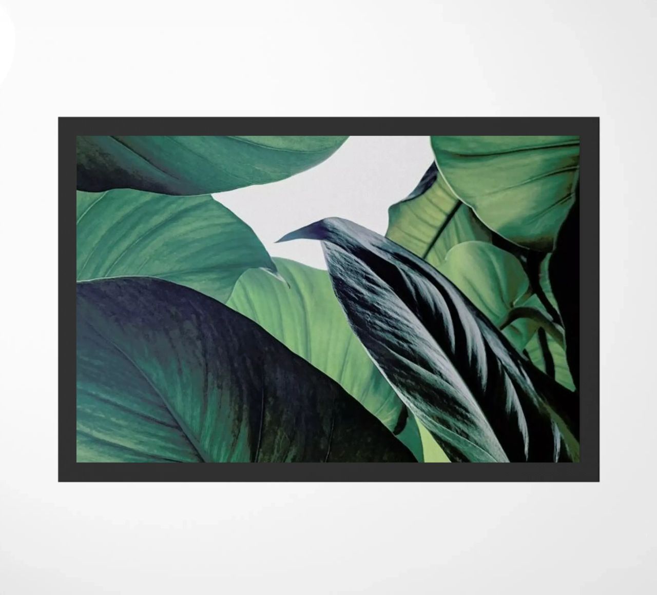 Light Shines Through doormat by Flora & Fauna