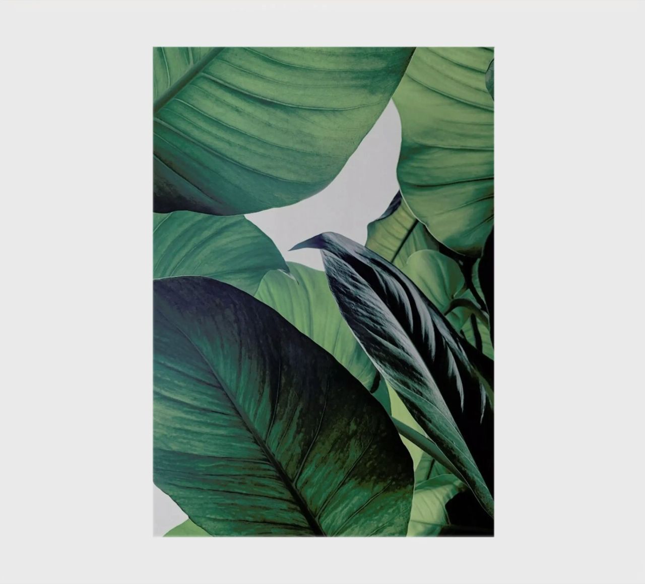 Light Shines Through notebook by Flora & Fauna