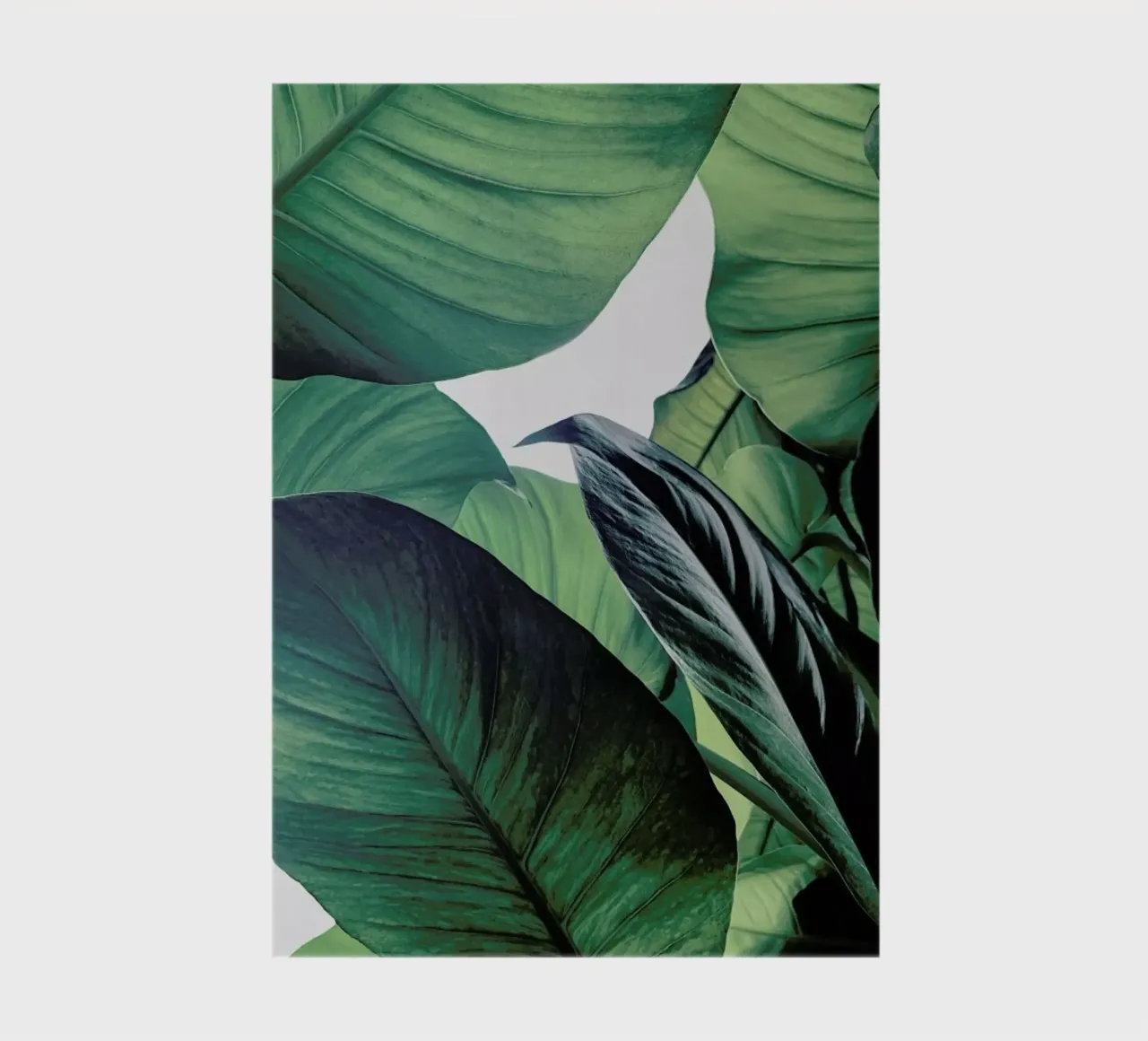 Light Shines Through Notizbuch von Flora & Fauna