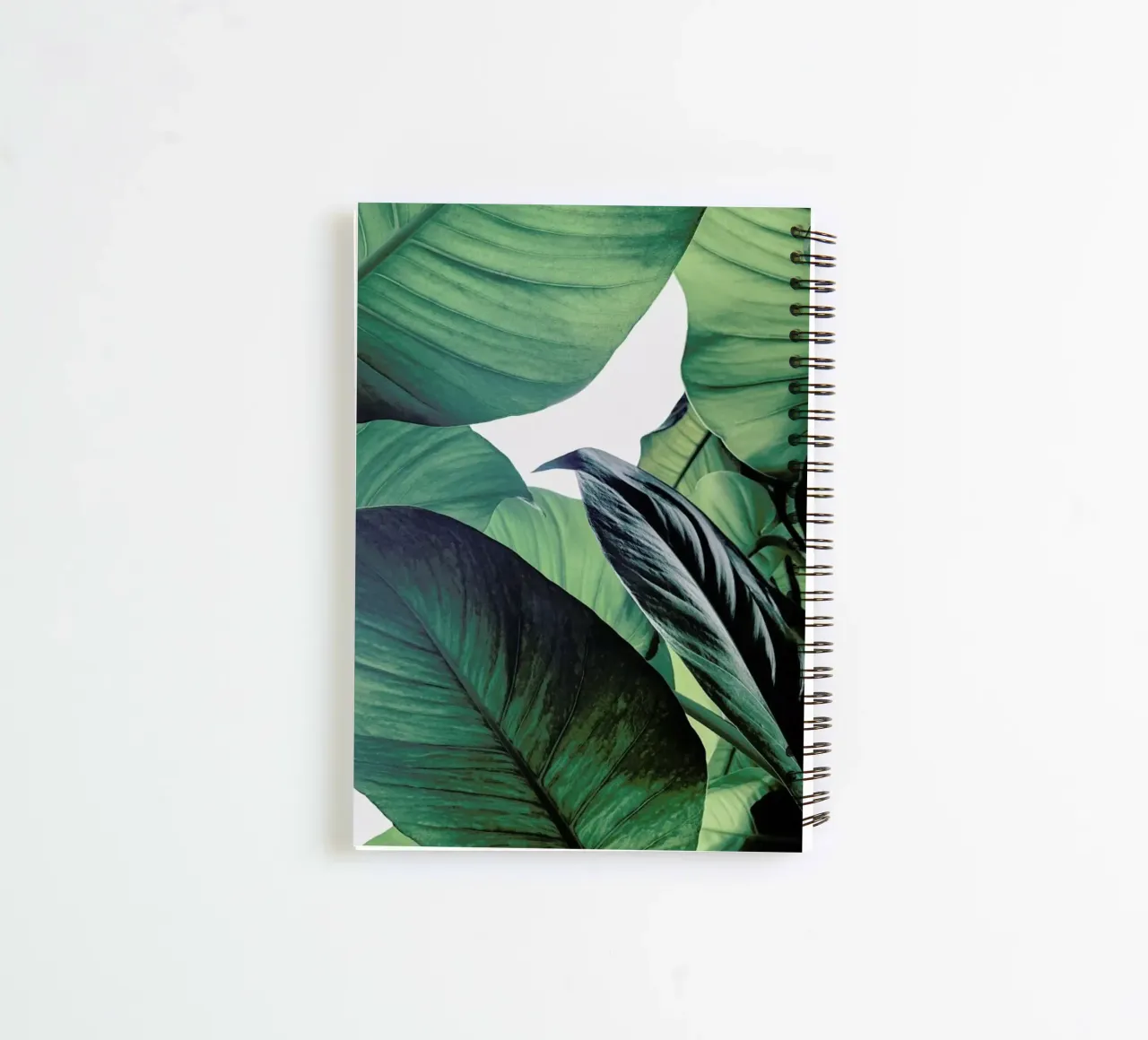 Light Shines Through Ringbuch von Flora & Fauna