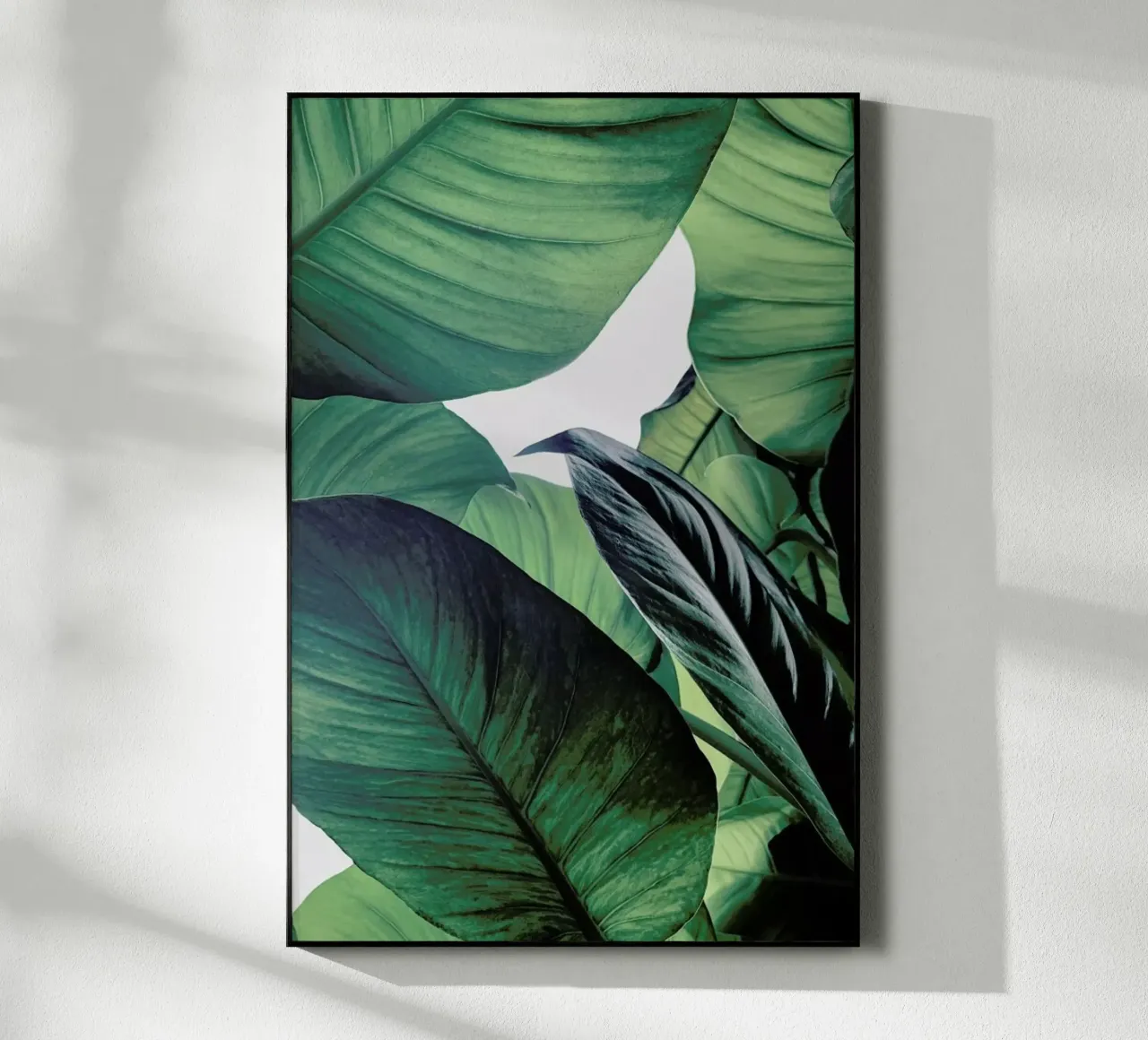 Light Shines Through plexiglass da Flora & Fauna