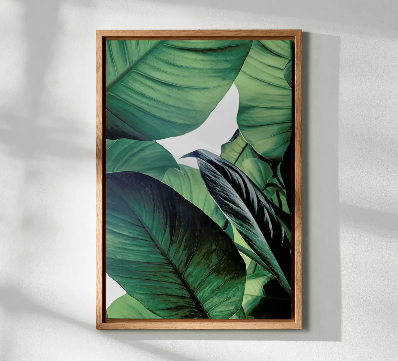 Light Shines Through alluminio dibond da Flora & Fauna