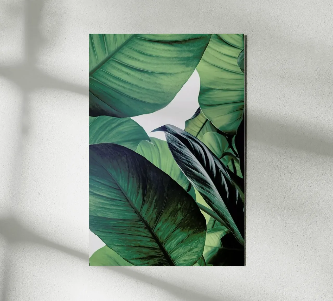 Light Shines Through alluminio dibond da Flora & Fauna