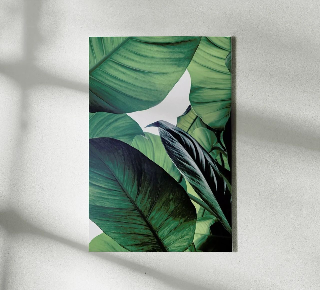Light Shines Through canvas by Flora & Fauna