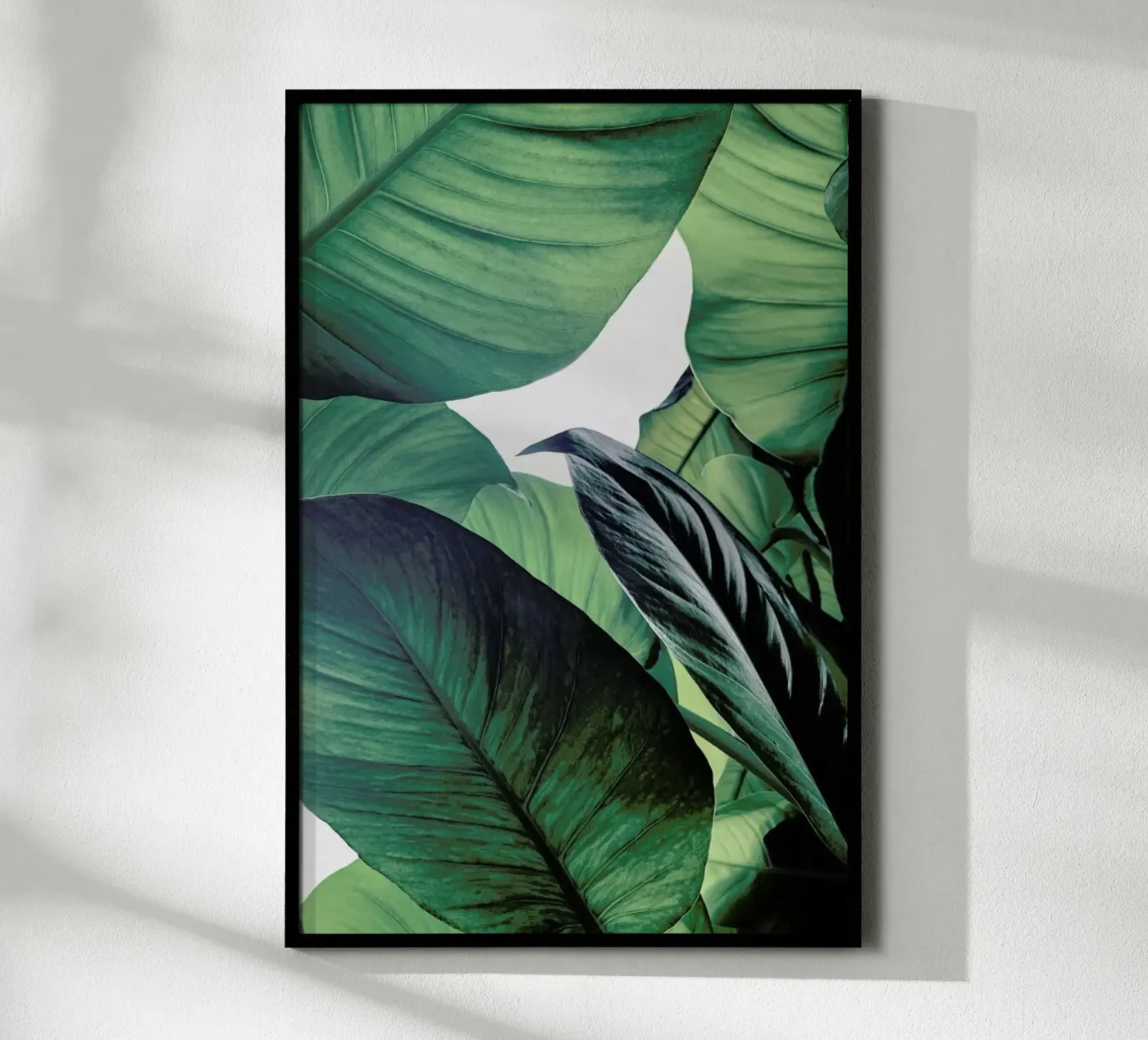 Light Shines Through poster by Flora & Fauna