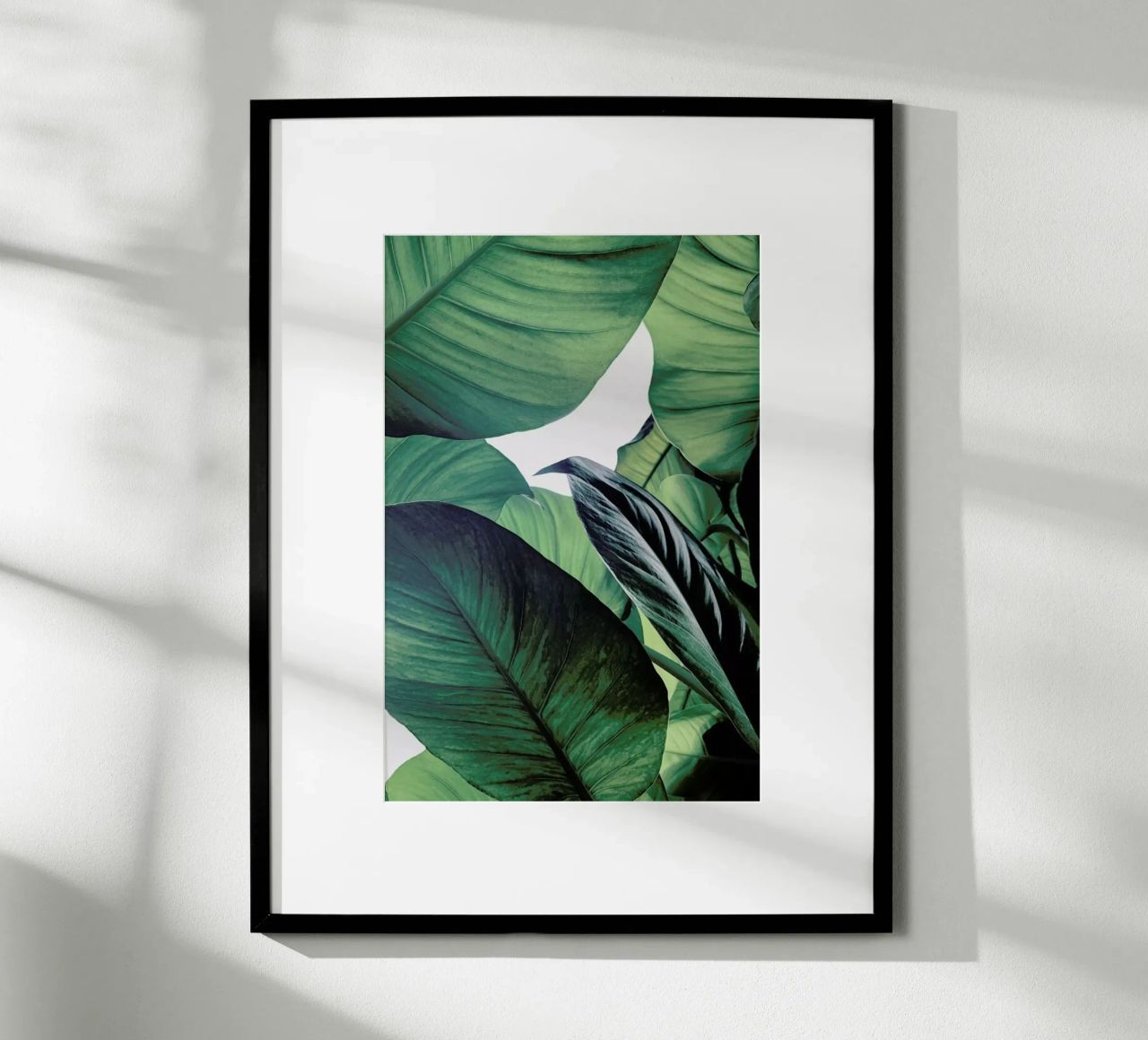 Light Shines Through poster by Flora & Fauna