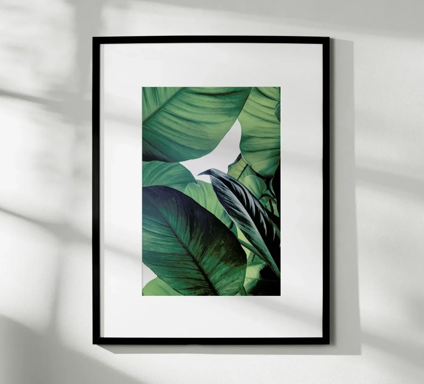 Light Shines Through poster by Flora & Fauna