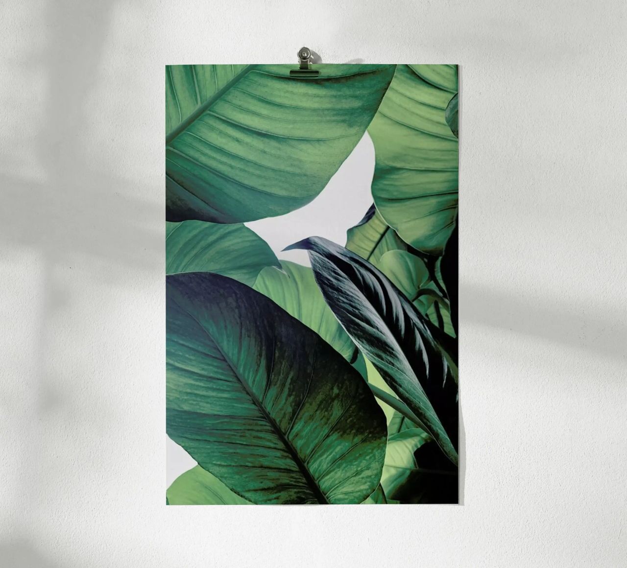 Light Shines Through poster by Flora & Fauna
