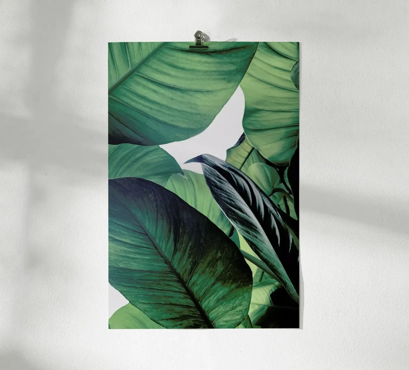 Light Shines Through poster da Flora & Fauna