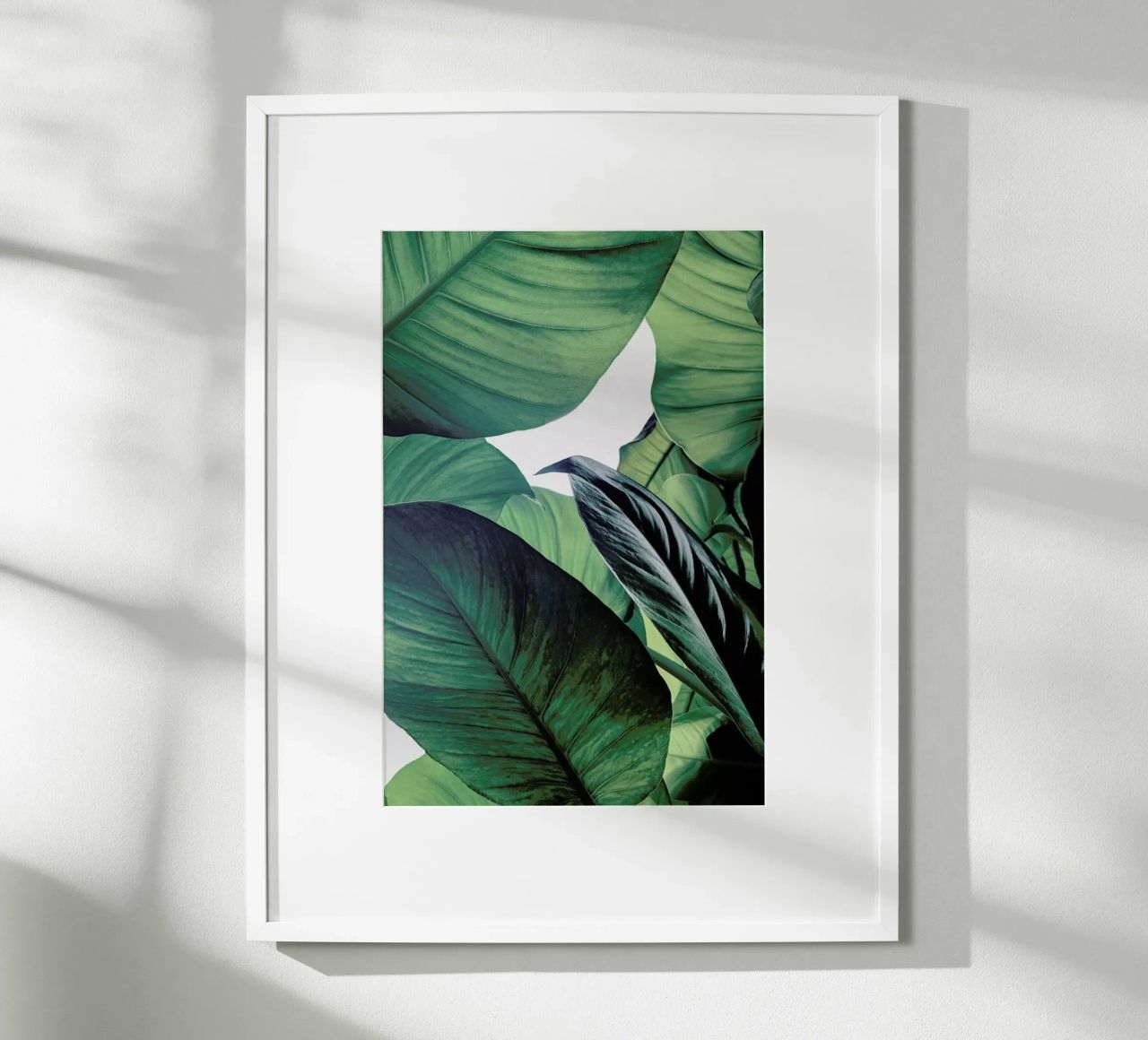 Light Shines Through poster by Flora & Fauna