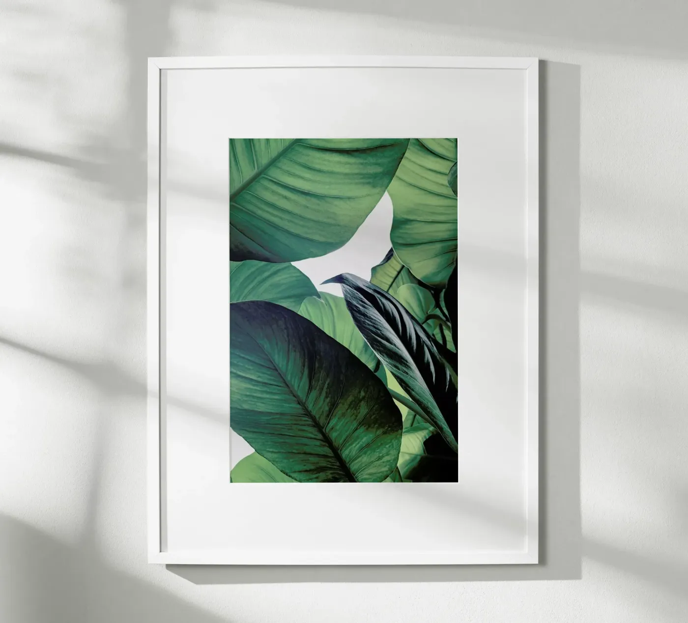 Light Shines Through poster by Flora & Fauna
