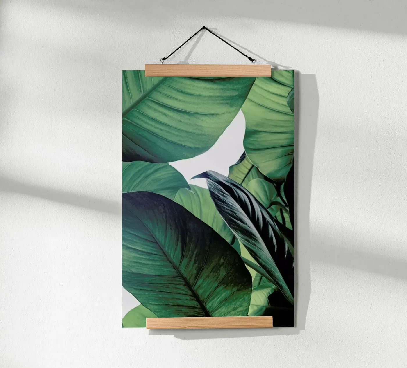 Light Shines Through poster by Flora & Fauna