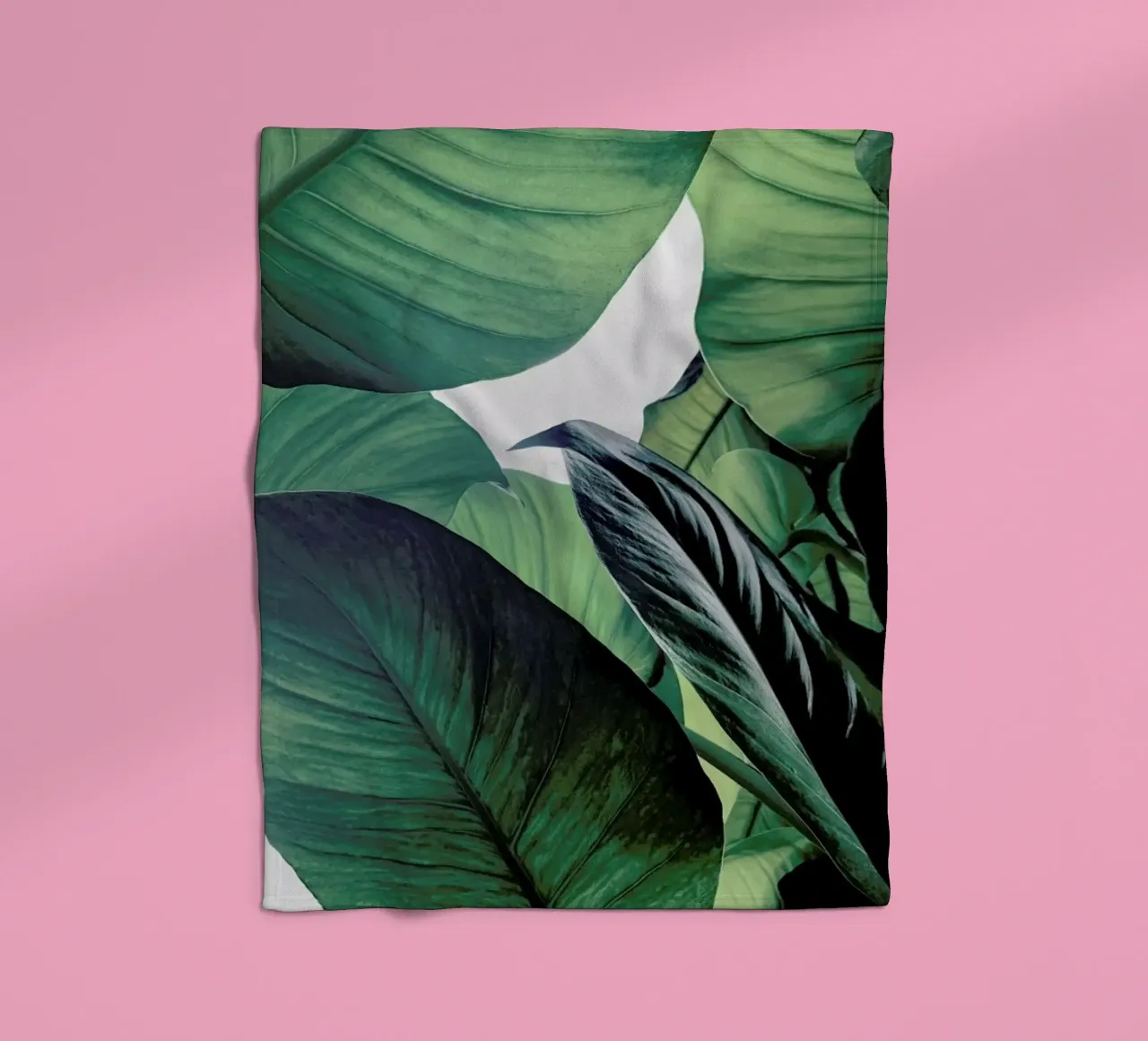 Light Shines Through coperta in pile da Flora & Fauna