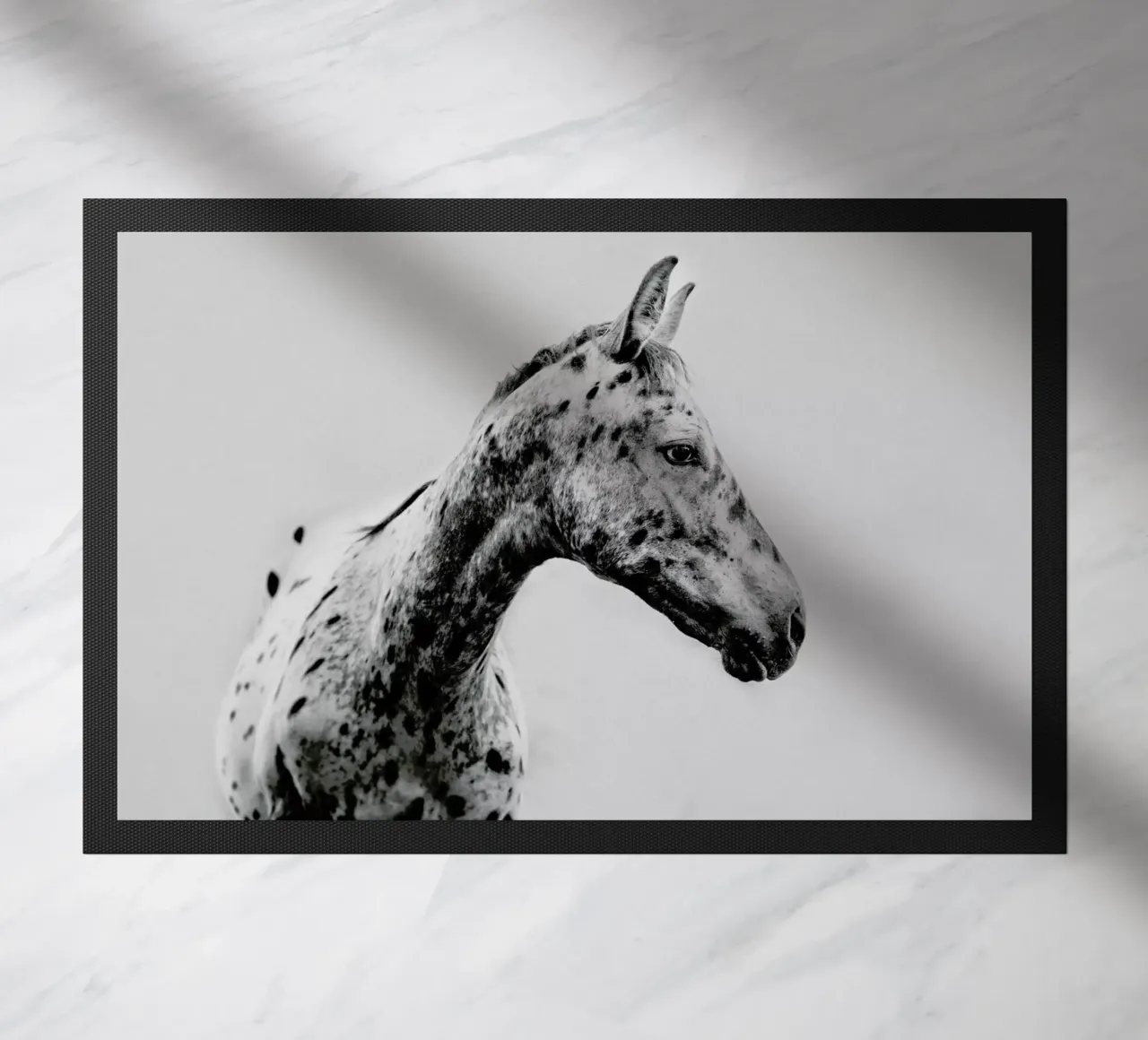 Odd One Out zerbino da Natural Kingdom