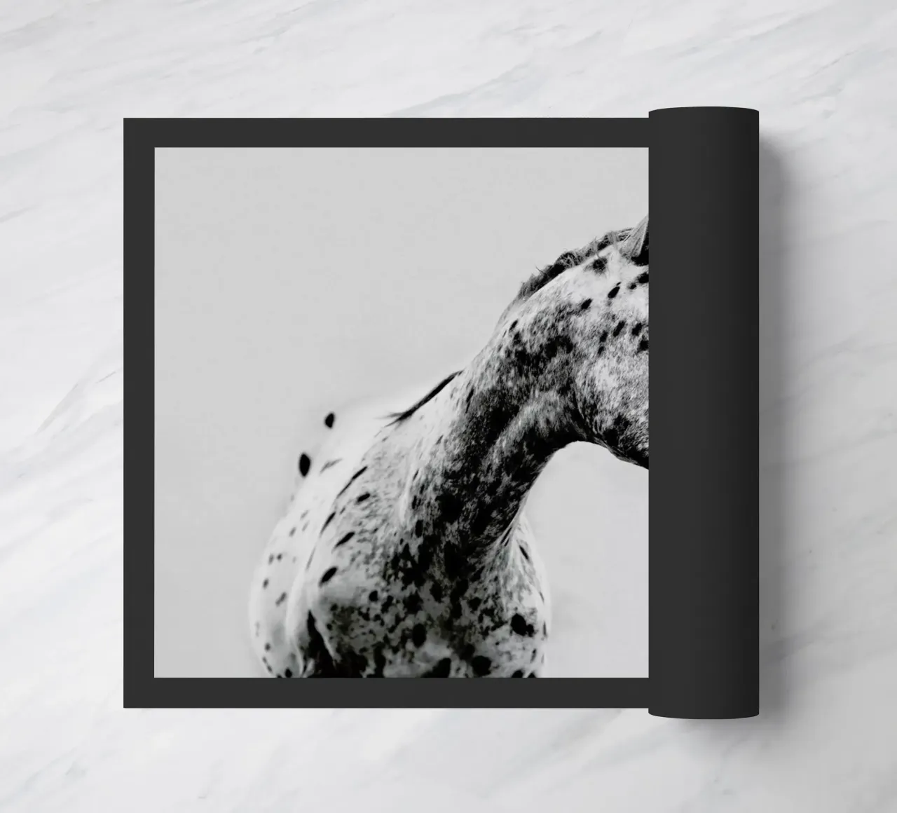 Odd One Out zerbino da Natural Kingdom