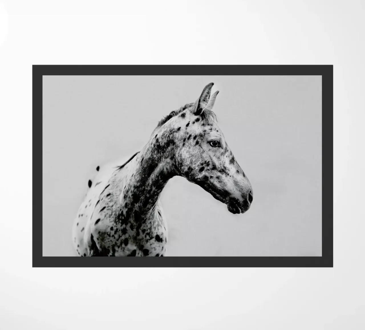 Odd One Out zerbino da Natural Kingdom