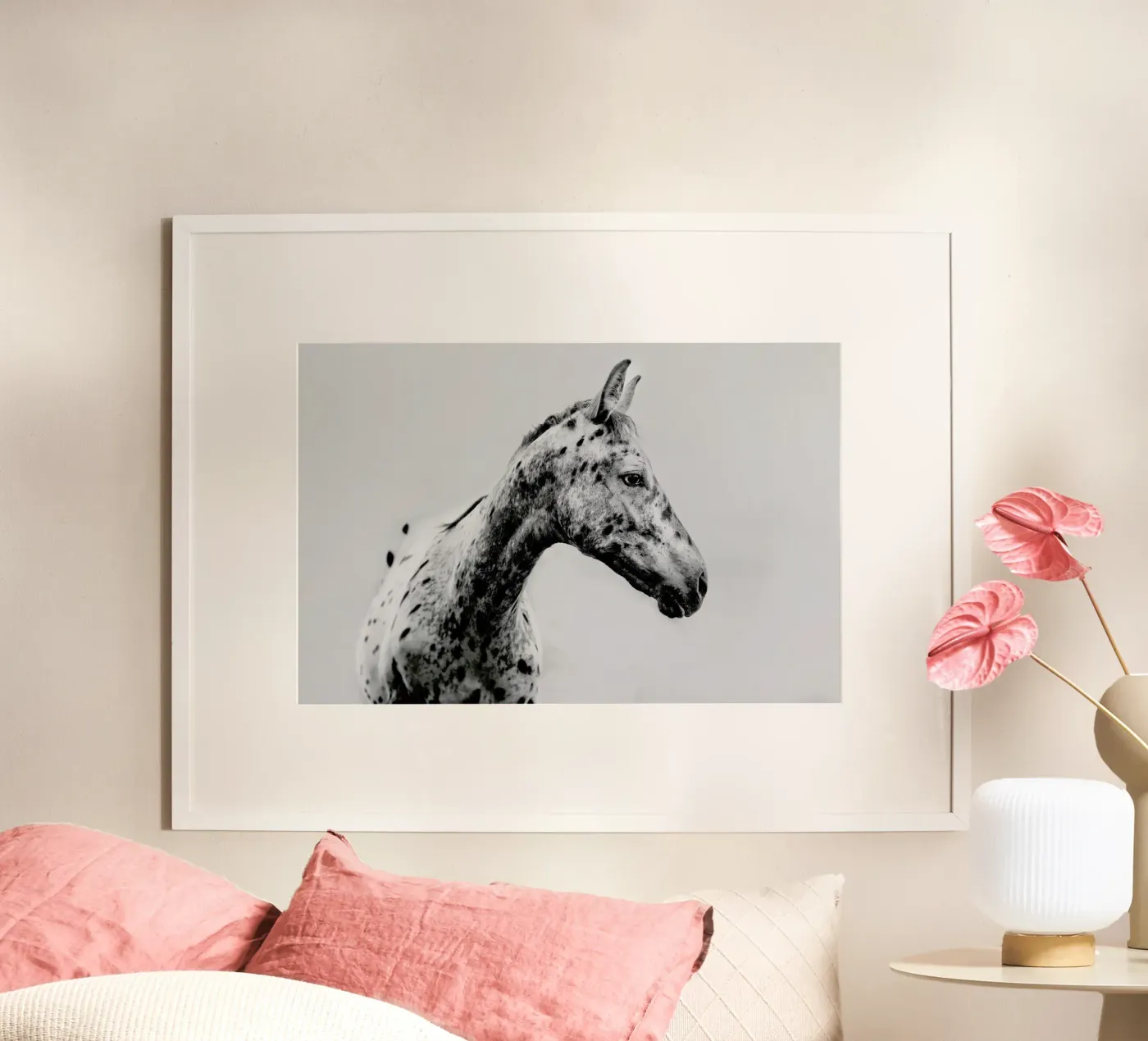 Odd One Out poster da Natural Kingdom