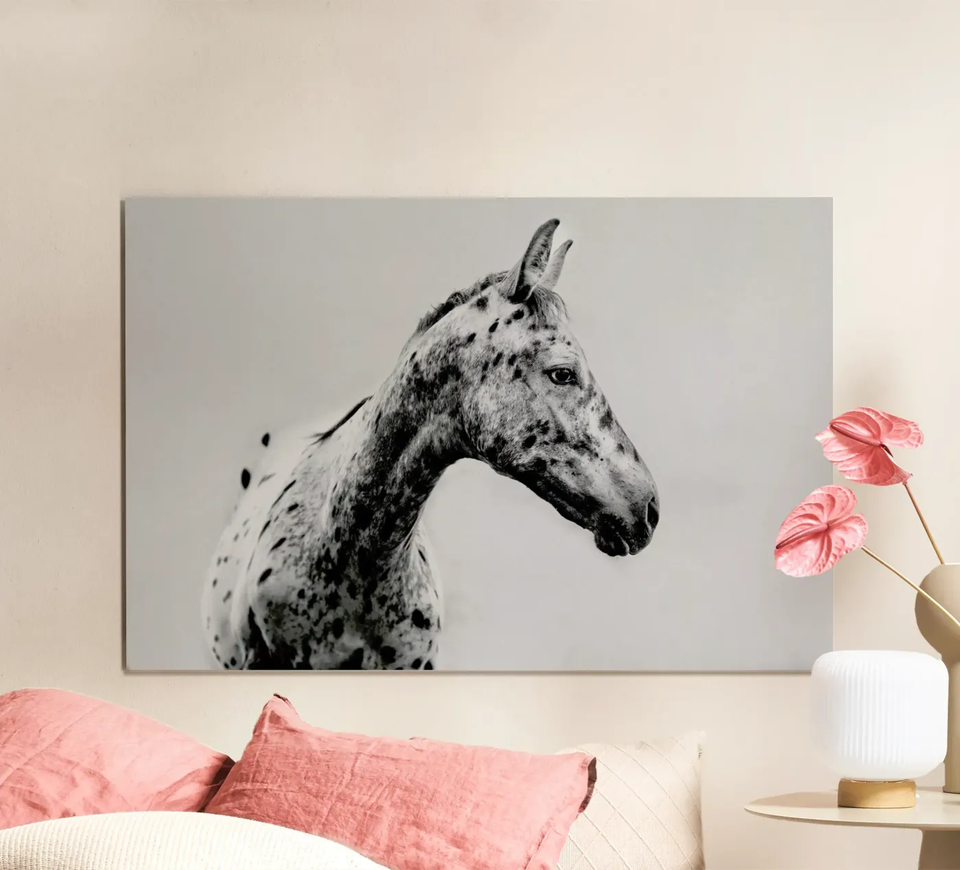 Odd One Out poster da Natural Kingdom