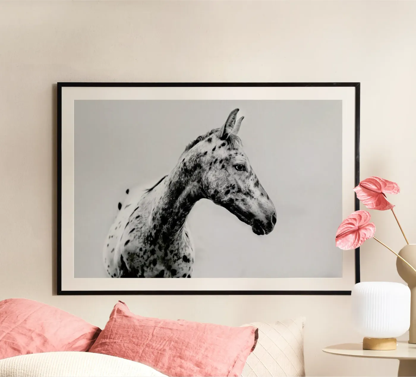 Odd One Out poster da Natural Kingdom