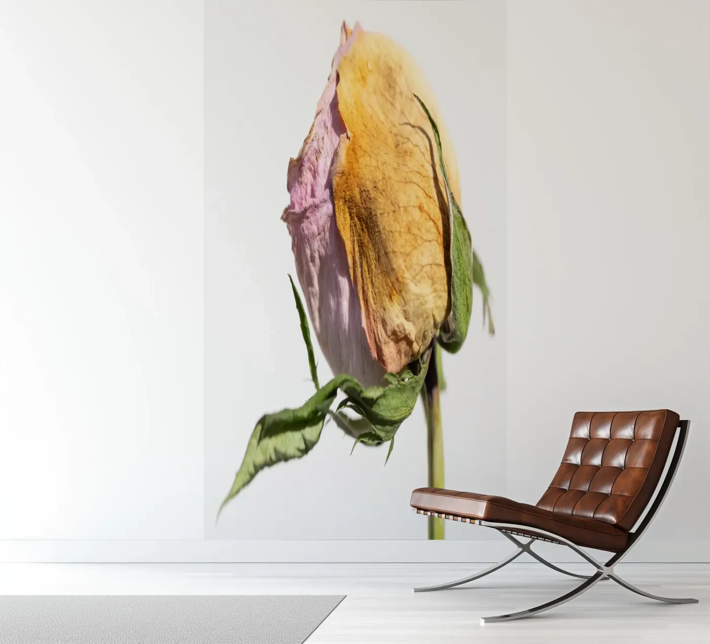 flora studies fotobehang van rafael campezato