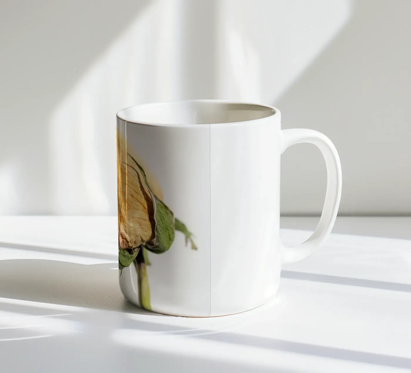 flora studies ceramic mug by rafael campezato