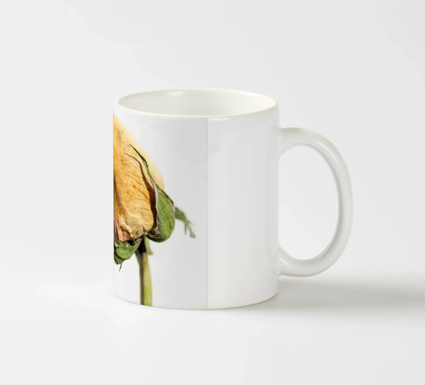 flora studies ceramic mug by rafael campezato