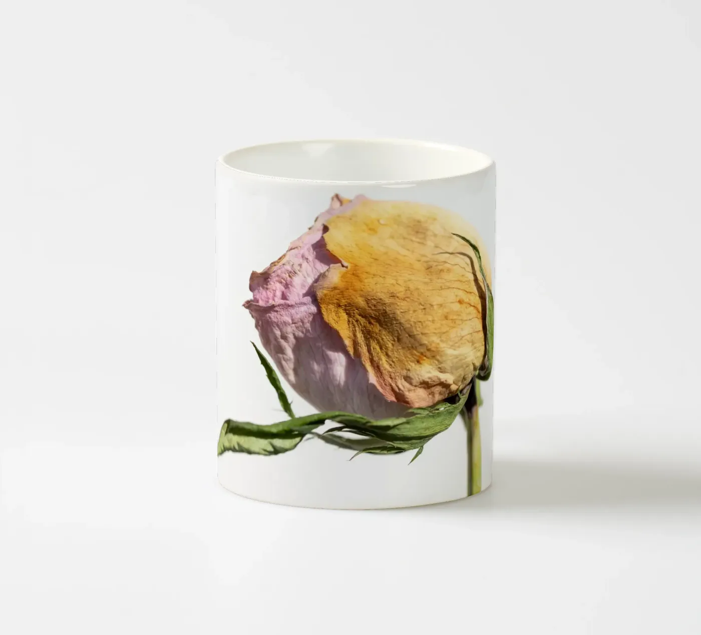 flora studies ceramic mug by rafael campezato