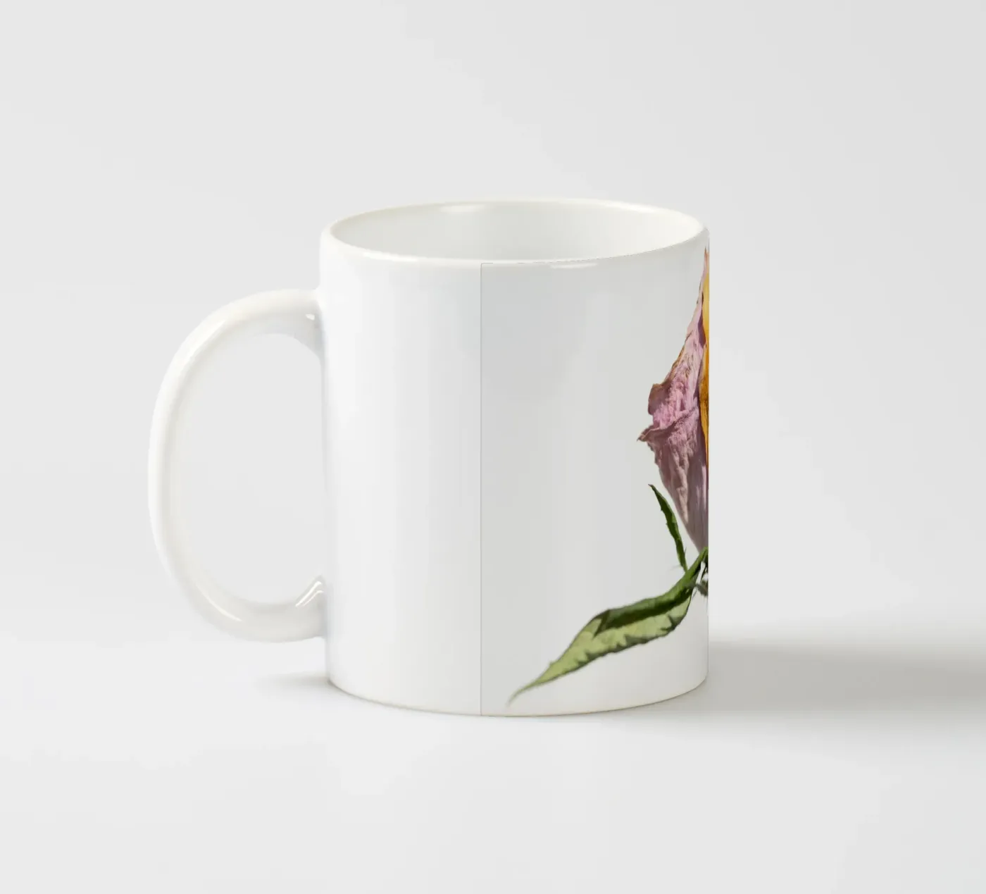 flora studies ceramic mug by rafael campezato