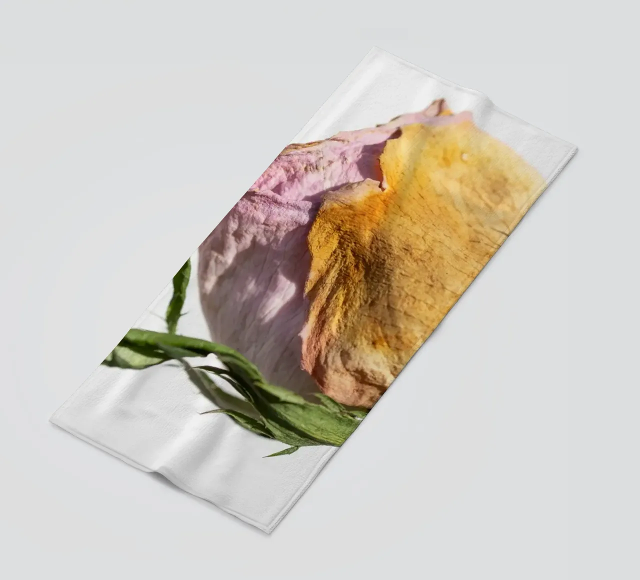 flora studies telo mare da rafael campezato