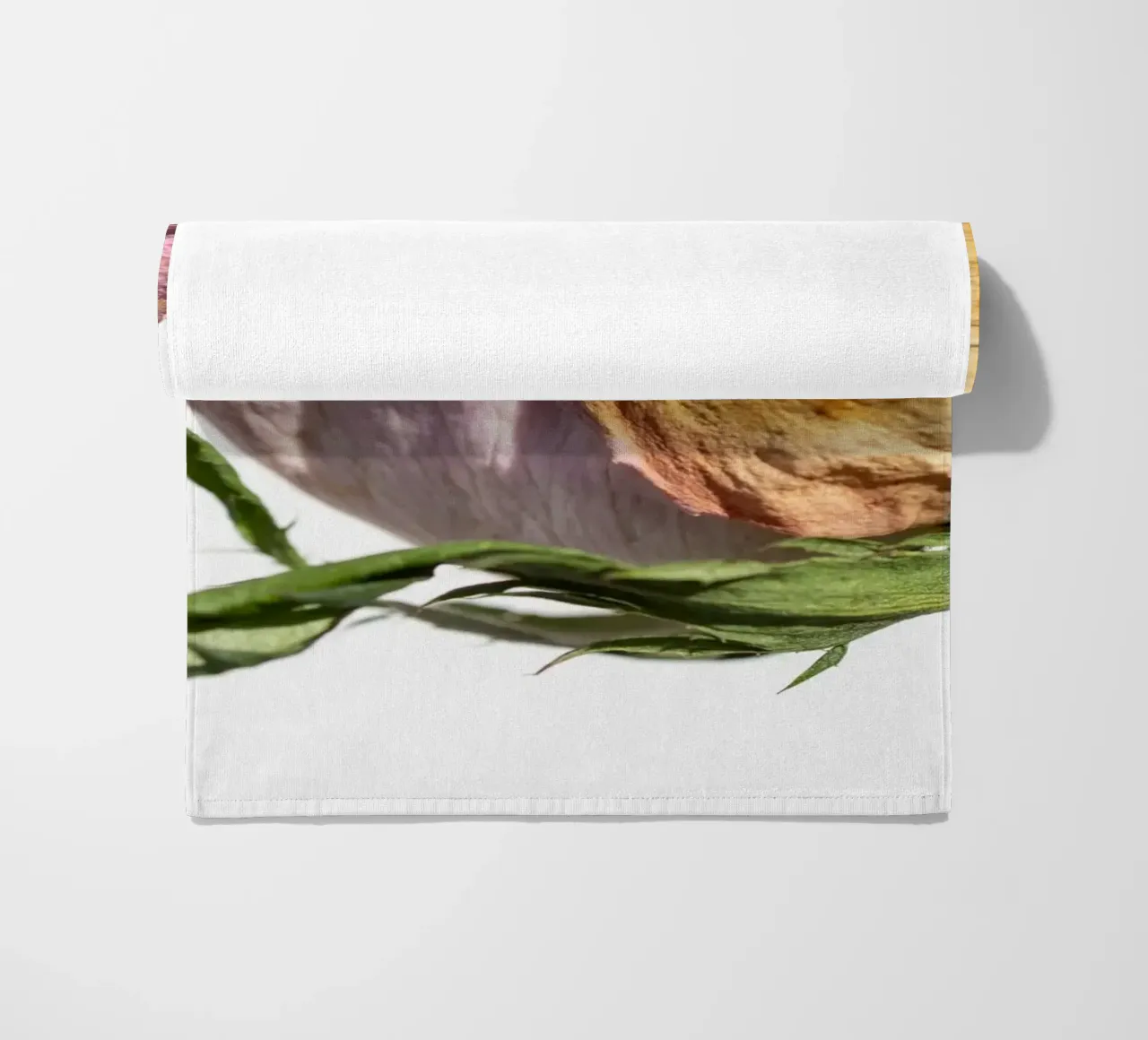 flora studies telo mare da rafael campezato