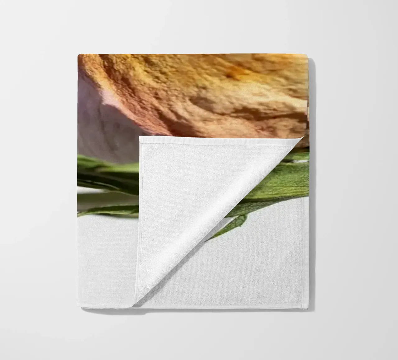 flora studies telo mare da rafael campezato