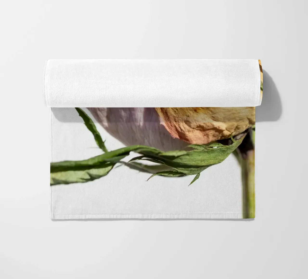 flora studies telo mare da rafael campezato