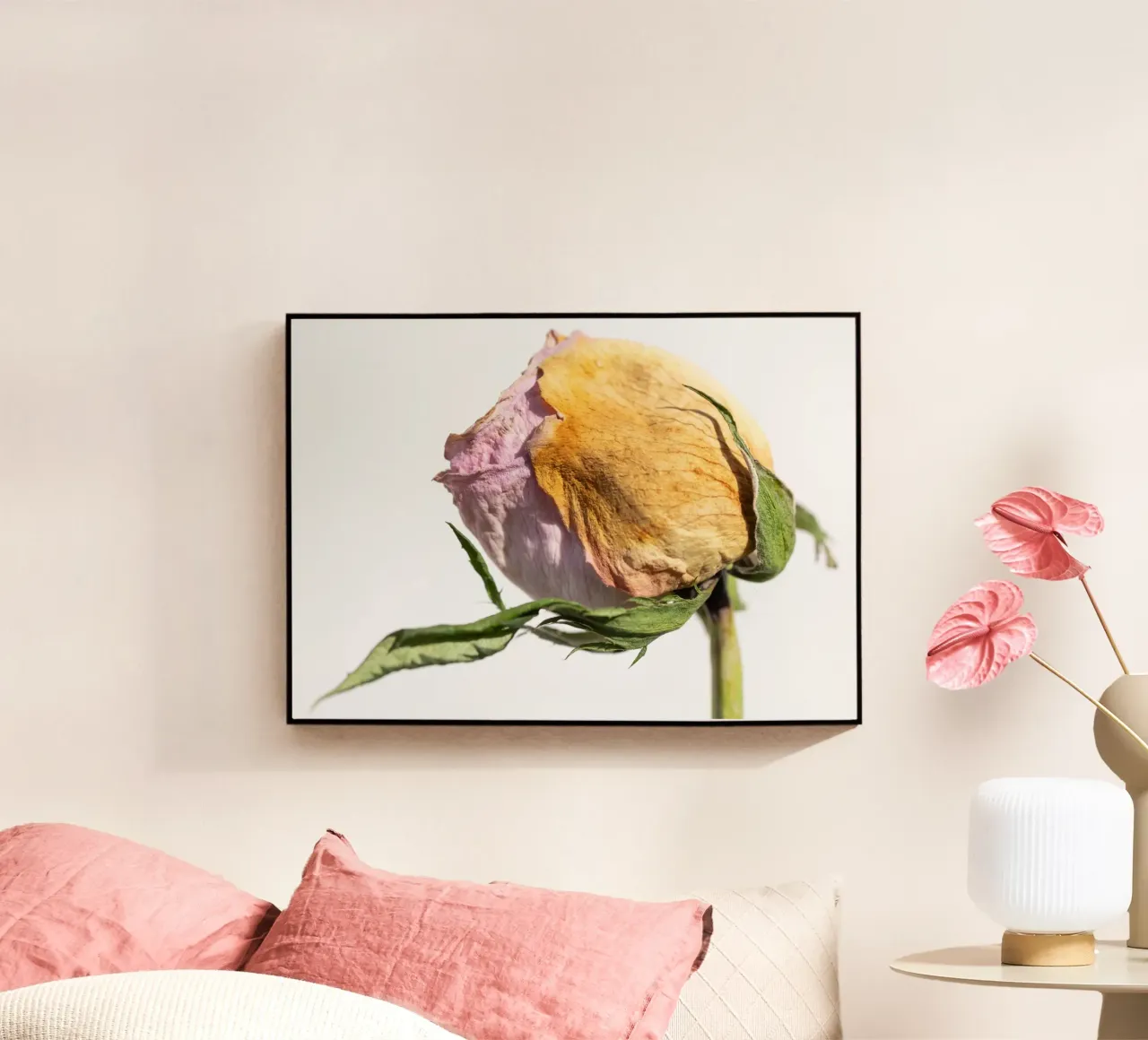 flora studies plexiglass da rafael campezato